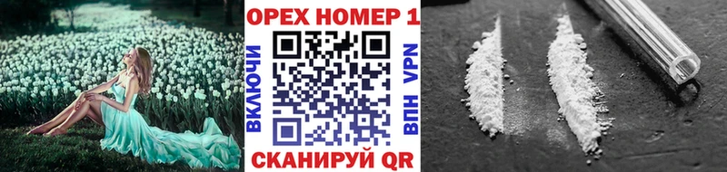 COCAIN FishScale  где купить наркоту  Грязи 