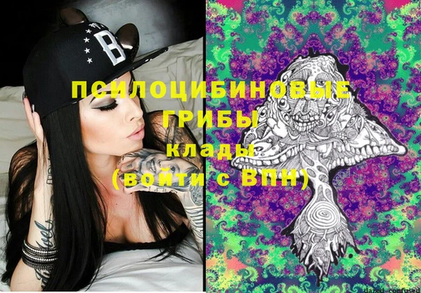 ECSTASY Алексеевка