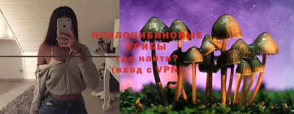 спиды Алзамай