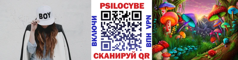 Галлюциногенные грибы мицелий Грязи