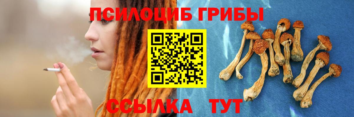 Грязи  Псилоцибиновые грибы Psilocybe  Псилоцибиновые грибы Cubensis  Вход с VPN 